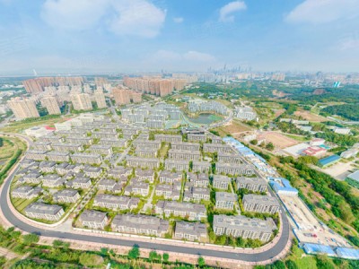 绿城云栖玫瑰园图1