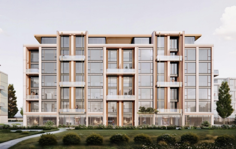 映象星潮效果图