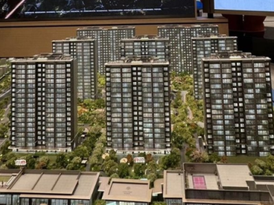 东山金茂晓棠图4