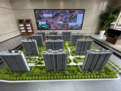 牡丹大观天下图4