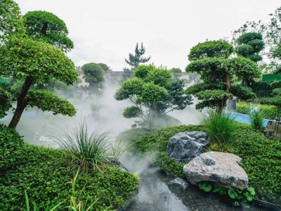 华昌金沙一品图5