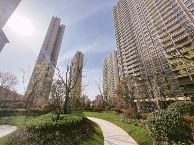 通宇林景博园图6