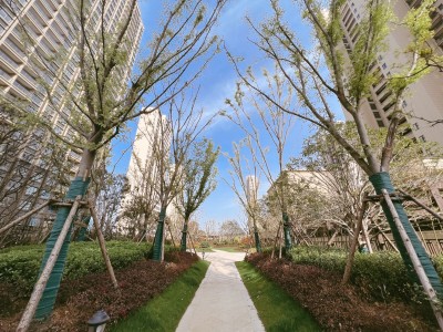 通宇林景博园图7