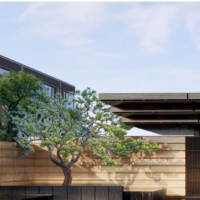 绿城金基沁百合