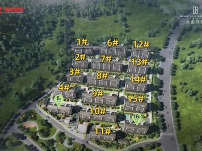 星叶半山玥府图4