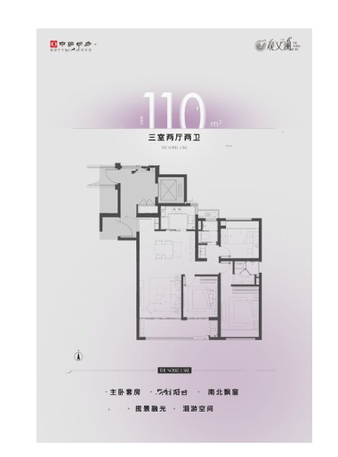  3室2厅2卫 110㎡户型图