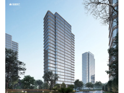 伟星长江之歌图4