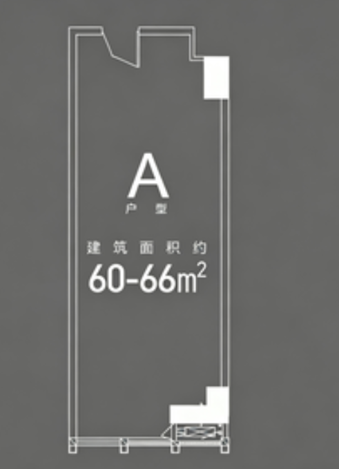  0室0厅0卫 66㎡户型图