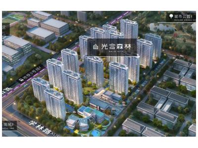 光合森林图2