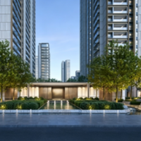 中环置地中心望云楼盘图片