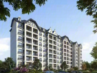 春申阳光图2