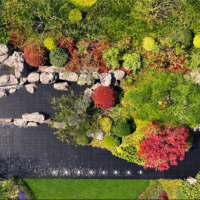陆家嘴锦绣云澜楼盘图片