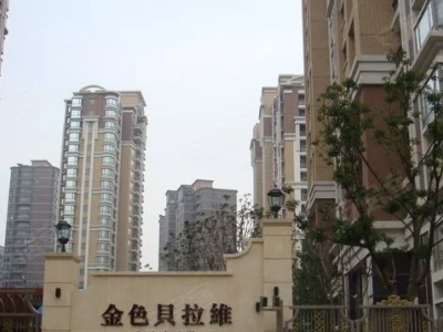 金色贝拉维图4